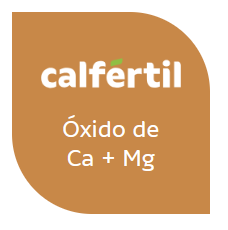 Calfértil
